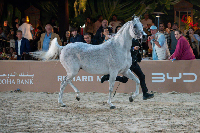 O primeiro Global Champions Arabians Tour no Brasil foi assim